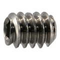 Midwest Fastener #10-24 x 1/4" 18-8 Stainless Steel Coarse Thread Hex Socket Headless Set Screws 15PK 67568